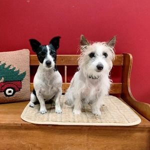 Meet your Posher, Deborah